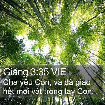 Giăng 3:35 VIE Bible Verse Image