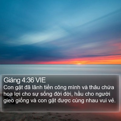 Giăng 4:36 VIE Bible Verse Image