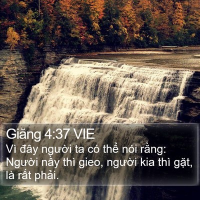 Giăng 4:37 VIE Bible Verse Image
