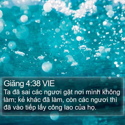 Giăng 4:38 VIE Bible Verse Image