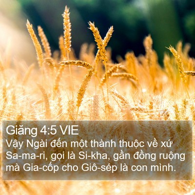 Giăng 4:5 VIE Bible Verse Image