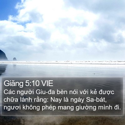 Giăng 5:10 VIE Bible Verse Image