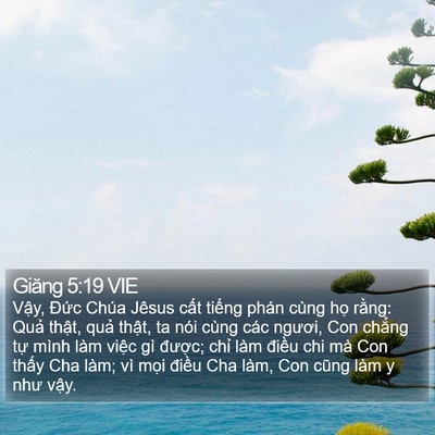 Giăng 5:19 VIE Bible Verse Image