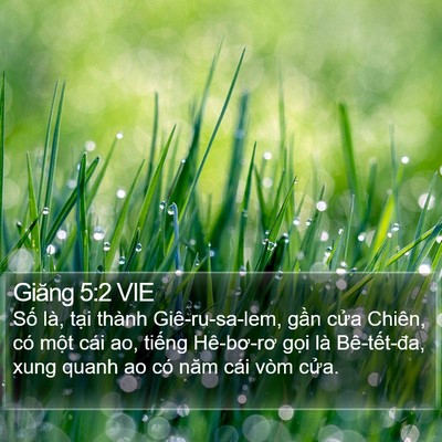 Giăng 5:2 VIE Bible Verse Image