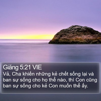 Giăng 5:21 VIE Bible Verse Image