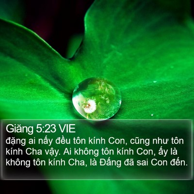 Giăng 5:23 VIE Bible Verse Image