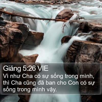 Giăng 5:26 VIE Bible Verse Image