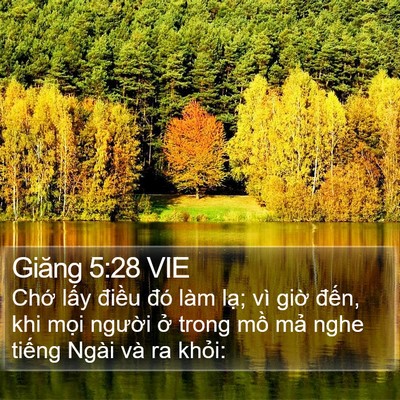 Giăng 5:28 VIE Bible Verse Image