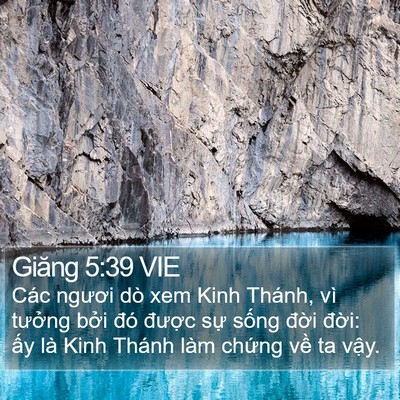Giăng 5:39 VIE Bible Verse Image