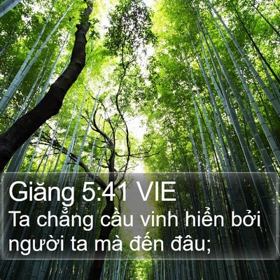 Giăng 5:41 VIE Bible Verse Image