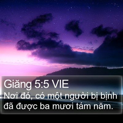 Giăng 5:5 VIE Bible Verse Image