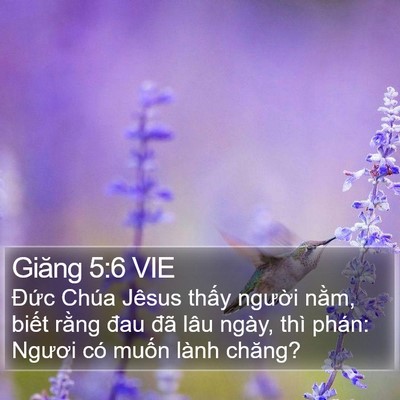 Giăng 5:6 VIE Bible Verse Image