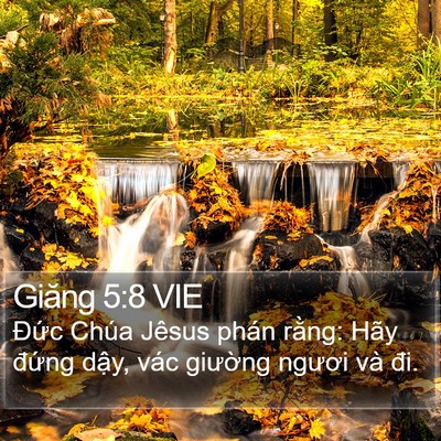 Giăng 5:8 VIE Bible Verse Image