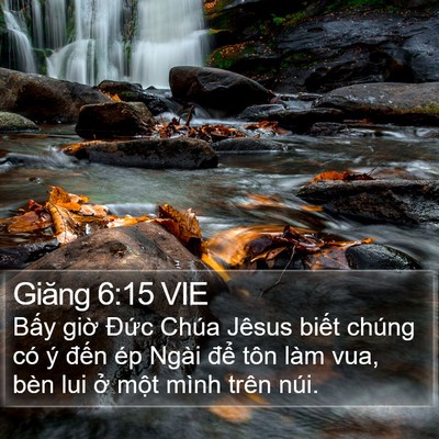 Giăng 6:15 VIE Bible Verse Image