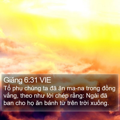 Giăng 6:31 VIE Bible Verse Image