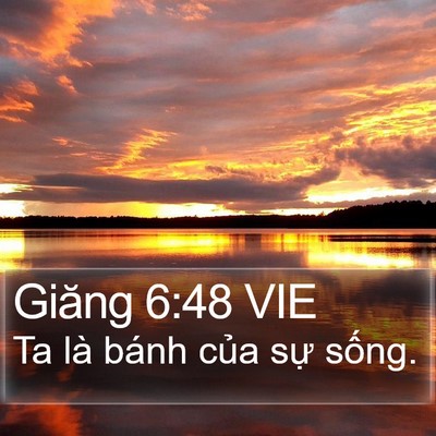 Giăng 6:48 VIE Bible Verse Image