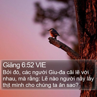 Giăng 6:52 VIE Bible Verse Image