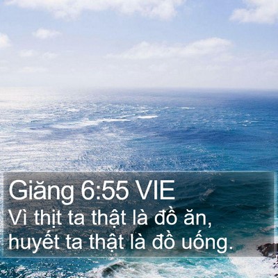 Giăng 6:55 VIE Bible Verse Image