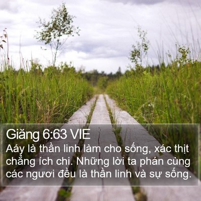 Giăng 6:63 VIE Bible Verse Image