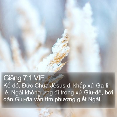 Giăng 7:1 VIE Bible Verse Image
