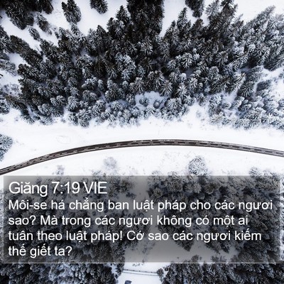 Giăng 7:19 VIE Bible Verse Image