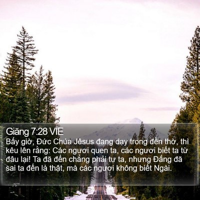 Giăng 7:28 VIE Bible Verse Image