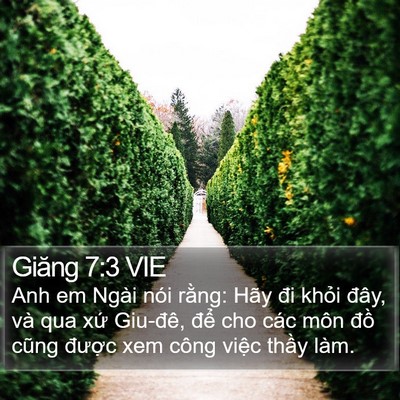 Giăng 7:3 VIE Bible Verse Image