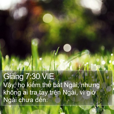 Giăng 7:30 VIE Bible Verse Image