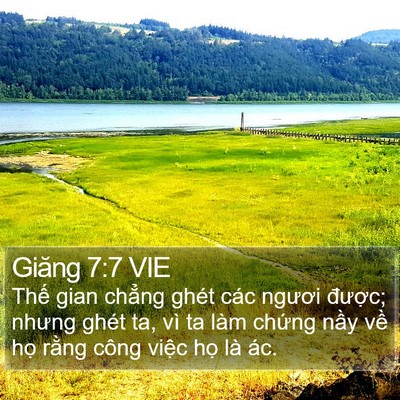 Giăng 7:7 VIE Bible Verse Image