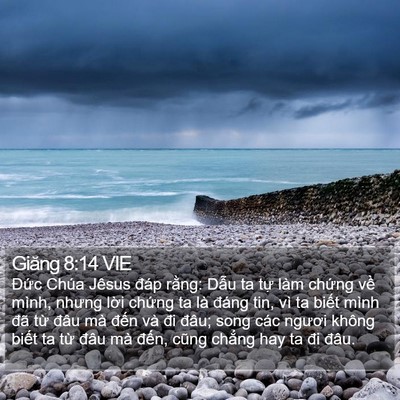 Giăng 8:14 VIE Bible Verse Image