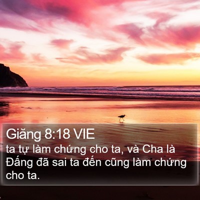 Giăng 8:18 VIE Bible Verse Image