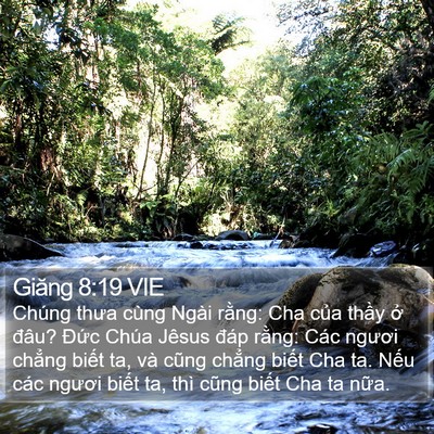 Giăng 8:19 VIE Bible Verse Image