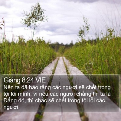 Giăng 8:24 VIE Bible Verse Image