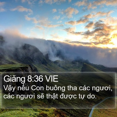 Giăng 8:36 VIE Bible Verse Image