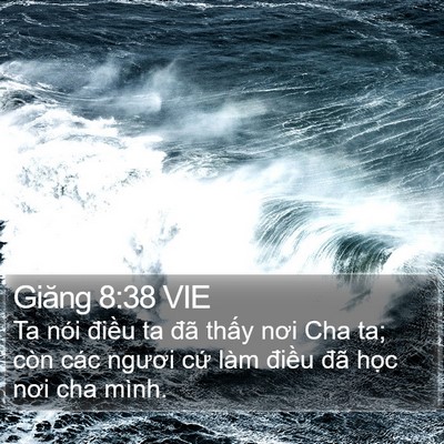Giăng 8:38 VIE Bible Verse Image