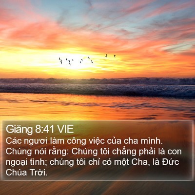 Giăng 8:41 VIE Bible Verse Image