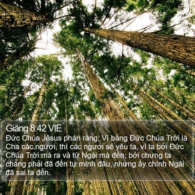 Giăng 8:42 VIE Bible Verse Image
