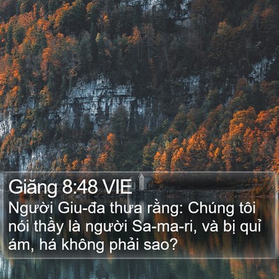 Giăng 8:48 VIE Bible Verse Image