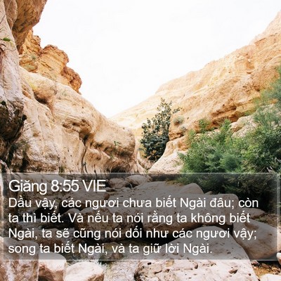 Giăng 8:55 VIE Bible Verse Image