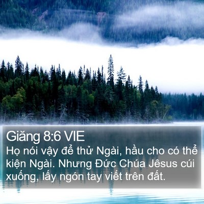Giăng 8:6 VIE Bible Verse Image