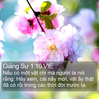 Giảng Sư 1:10 VIE Bible Verse Image