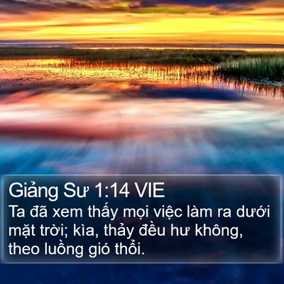 Giảng Sư 1:14 VIE Bible Verse Image