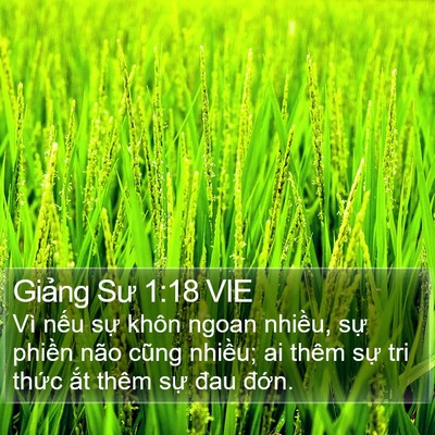 Giảng Sư 1:18 VIE Bible Verse Image