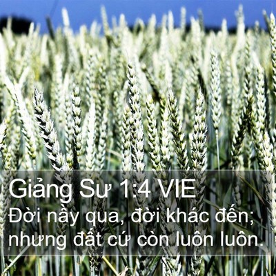Giảng Sư 1:4 VIE Bible Verse Image