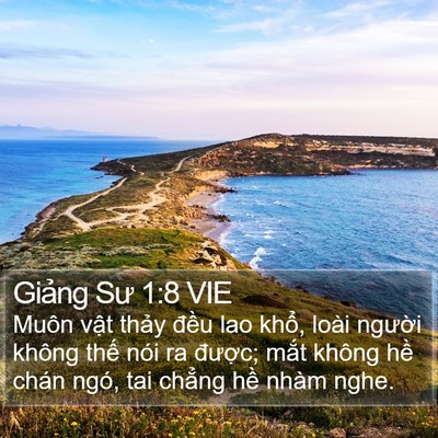 Giảng Sư 1:8 VIE Bible Verse Image