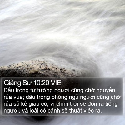 Giảng Sư 10:20 VIE Bible Verse Image