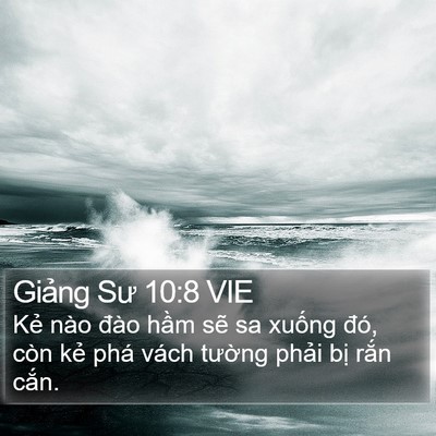 Giảng Sư 10:8 VIE Bible Verse Image