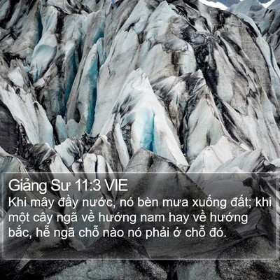Giảng Sư 11:3 VIE Bible Verse Image