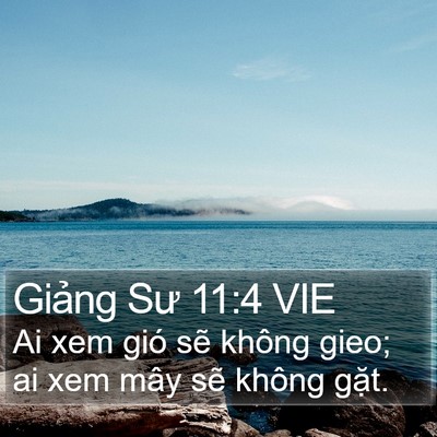 Giảng Sư 11:4 VIE Bible Verse Image