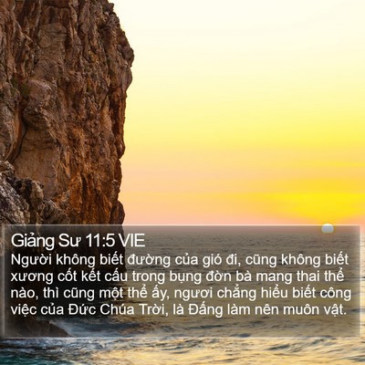 Giảng Sư 11:5 VIE Bible Verse Image